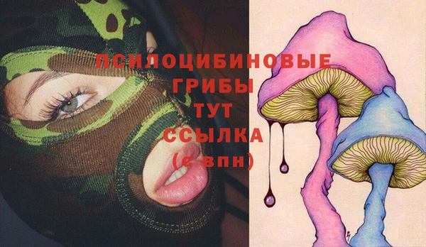 трава Новодвинск