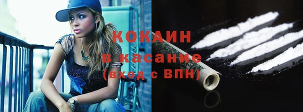 трава Новодвинск