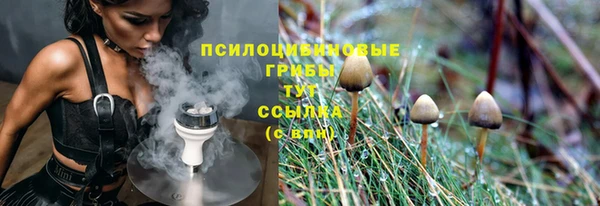 ГАЛЛЮЦИНОГЕННЫЕ ГРИБЫ Новокубанск