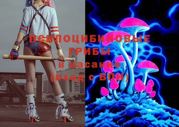 ГАЛЛЮЦИНОГЕННЫЕ ГРИБЫ Новокубанск