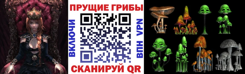 это наркотические препараты  Воронеж  Галлюциногенные грибы Psilocybine cubensis  цена  