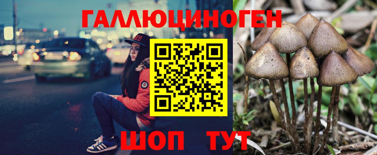 Воронеж  Галлюциногенные грибы Psilocybine cubensis  дарнет шоп  Вход с VPN 
