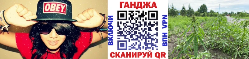 хочу наркоту  blacksprut   Марихуана сатива  Воронеж 